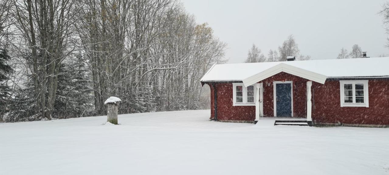 Hamra Stugby - Nature Adventures Hamra Hamra (Gavleborg) Exterior foto