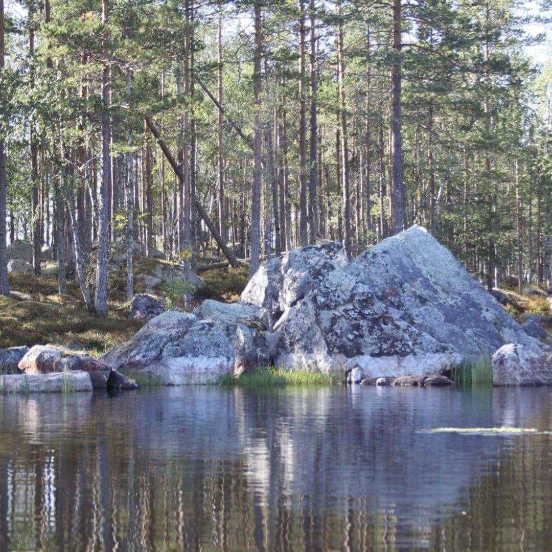Hamra Stugby - Nature Adventures Hamra Hamra (Gavleborg) Exterior foto