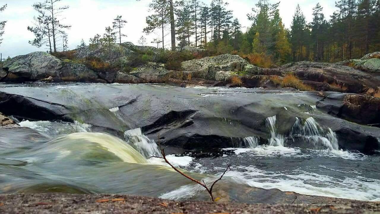 Hamra Stugby - Nature Adventures Hamra Hamra (Gavleborg) Exterior foto